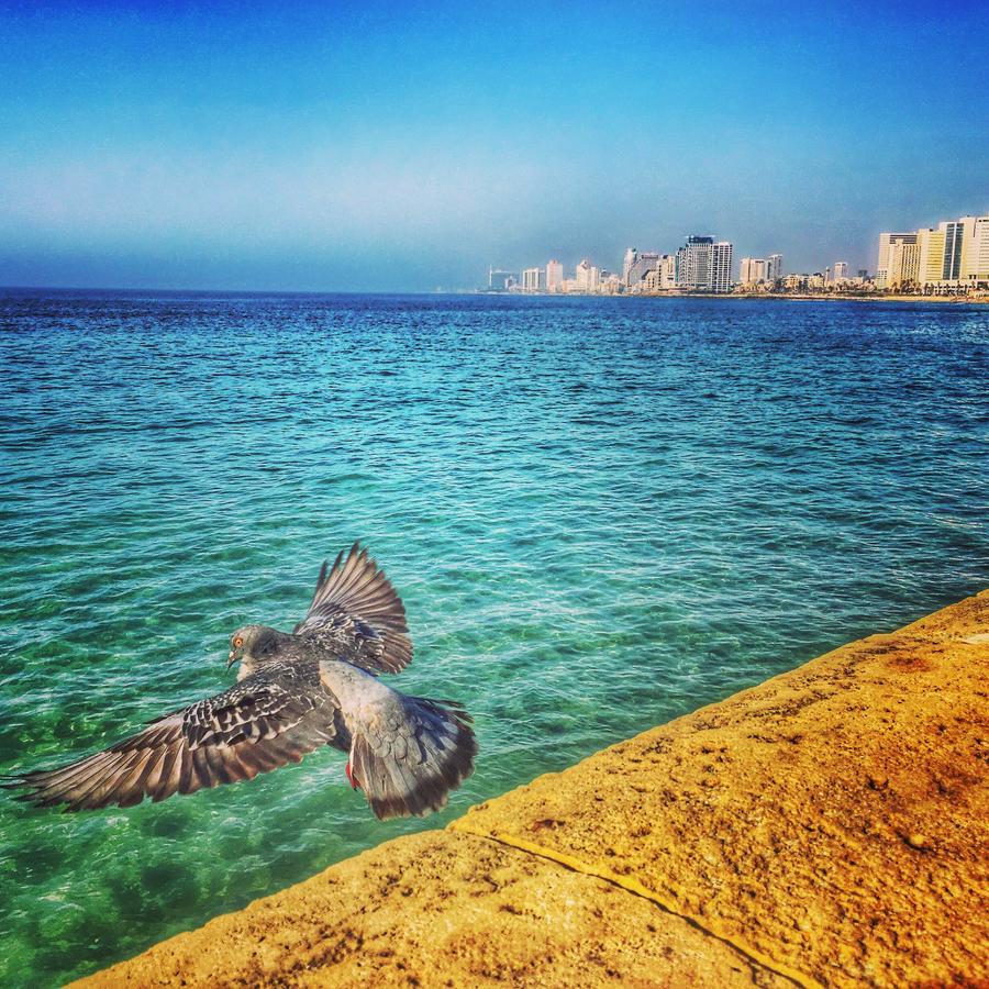Stunning Studio By The Beach With Free Parking Tel Aviv-Jaffa Exterior foto